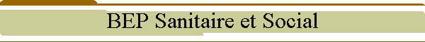 BEP Sanitaire et Social