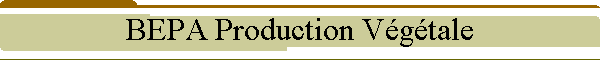 BEPA Production Vgtale